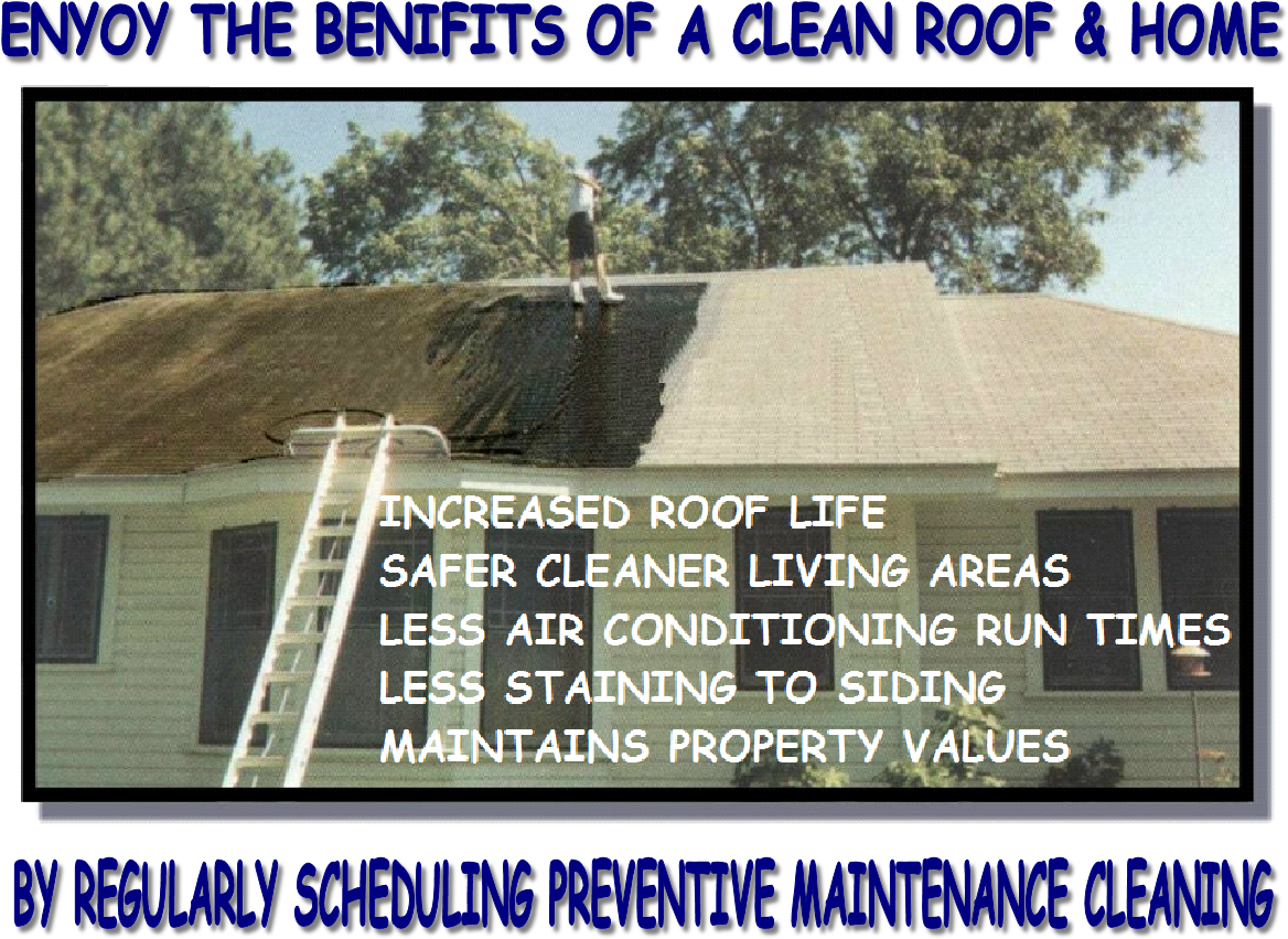 So Now That I've Cleared The Air And Educated You About - Roof (1234x900), Png Download