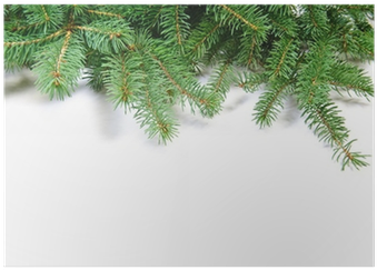 Fir Tree Branch Mug (400x400), Png Download