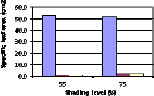 Specific Leaf Area Of Pule Pandak At Various Levels - Number (655x415), Png Download