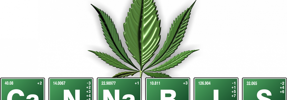 The History Of Cannabis Explained - Cannabis Medicinal (1210x423), Png Download