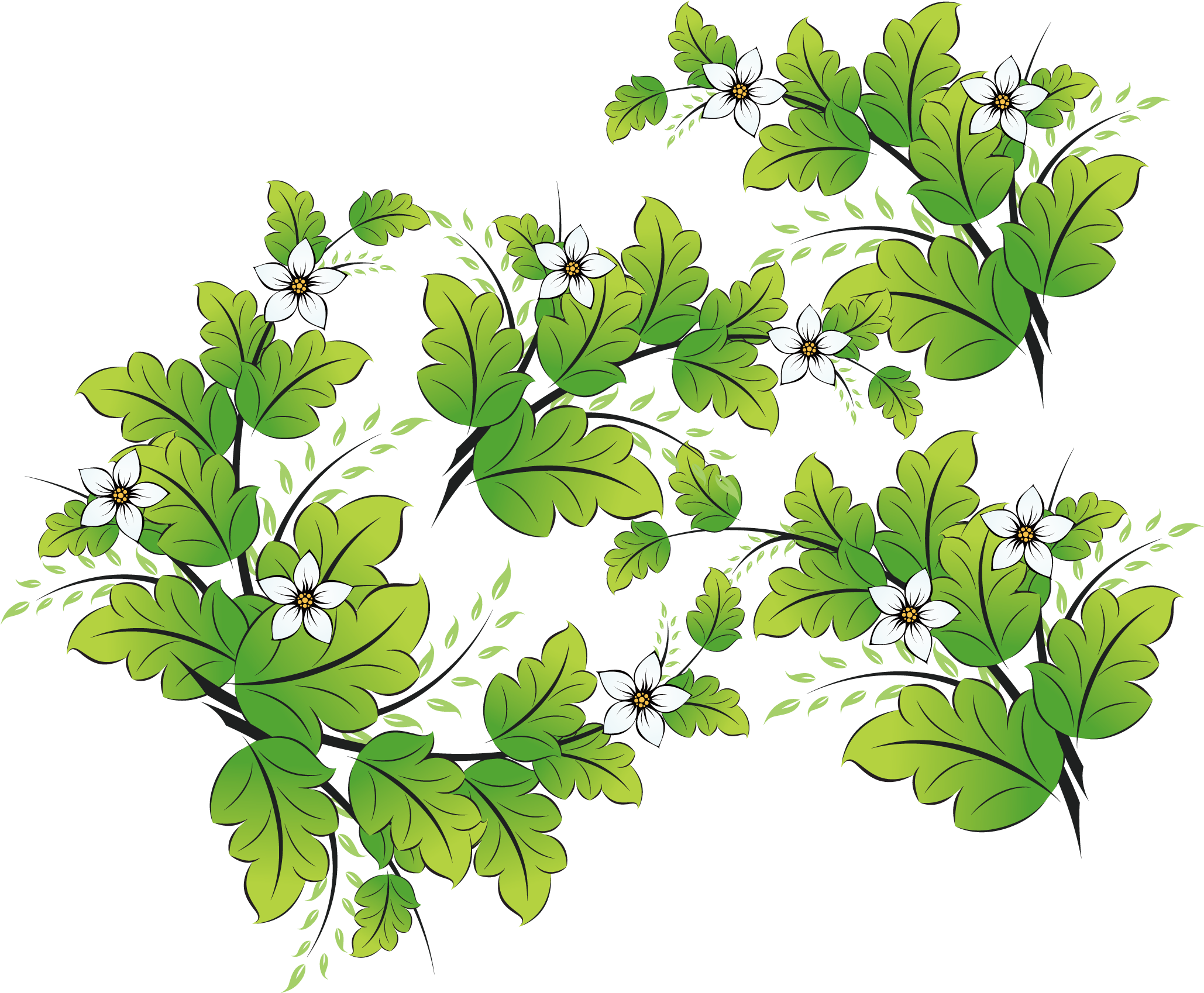 Watercolor Vector Herb - Vector Graphics (2083x2083), Png Download