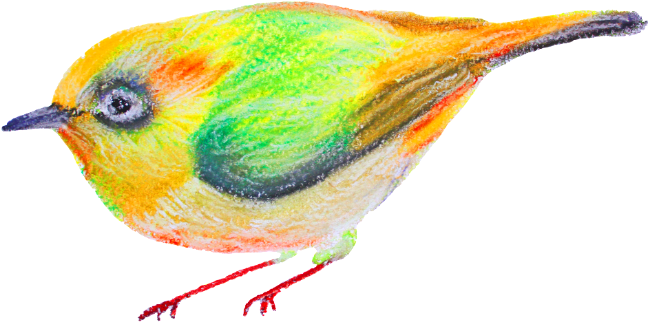 Watercolor Cartoon Birds Transparent Ornamental - Watercolor Painting (1024x670), Png Download