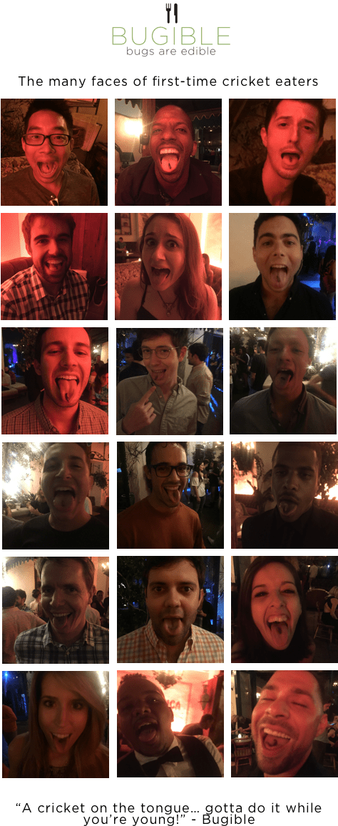 People Eating Bugs - Eating (500x1200), Png Download