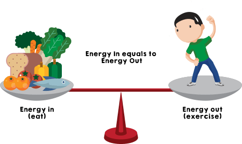 Healthy Eating Includes A Diet That Is/has - Energy Calories (485x290), Png Download
