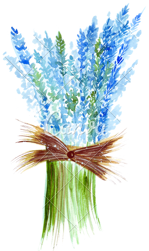 Hand Drawing Of A Watercolor Of A Bouquet Of Blue Lavender - Watercolor Painting (476x800), Png Download