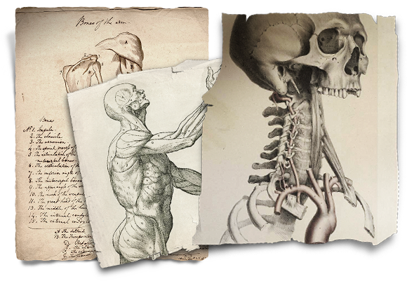 Frankenstein Is A Whole New Way Of Experiencing Mary - Frankenstein Mary Shelley Drawing (580x401), Png Download