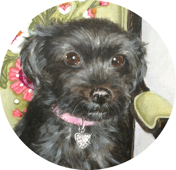 Commissioned Dog Portrait - Schnoodle (569x549), Png Download