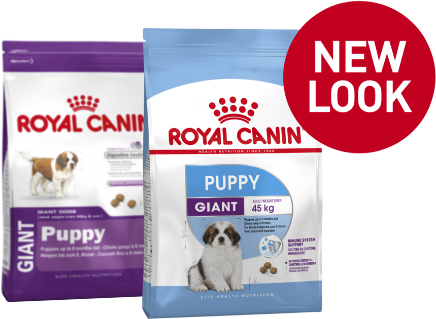 Giant Puppy Product Bag - Royal Canin Maxi Junior 15kg (900x900), Png Download