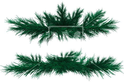 Fir Branches Welcomia Imagery - Fir Tree Branches Png (550x366), Png Download