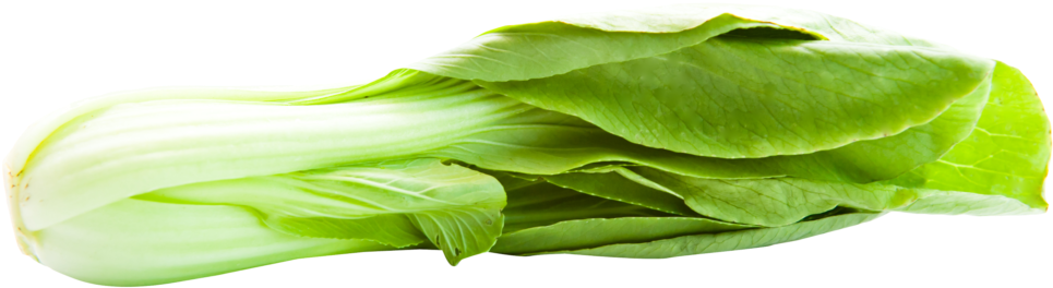 Bok Choy Transparent Background - Bokchoy Png (1024x348), Png Download
