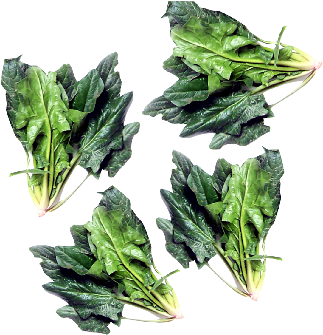 Green Spinach Png Image - Spinach (1201x1229), Png Download