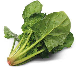 Spinach Transparent Background (400x300), Png Download