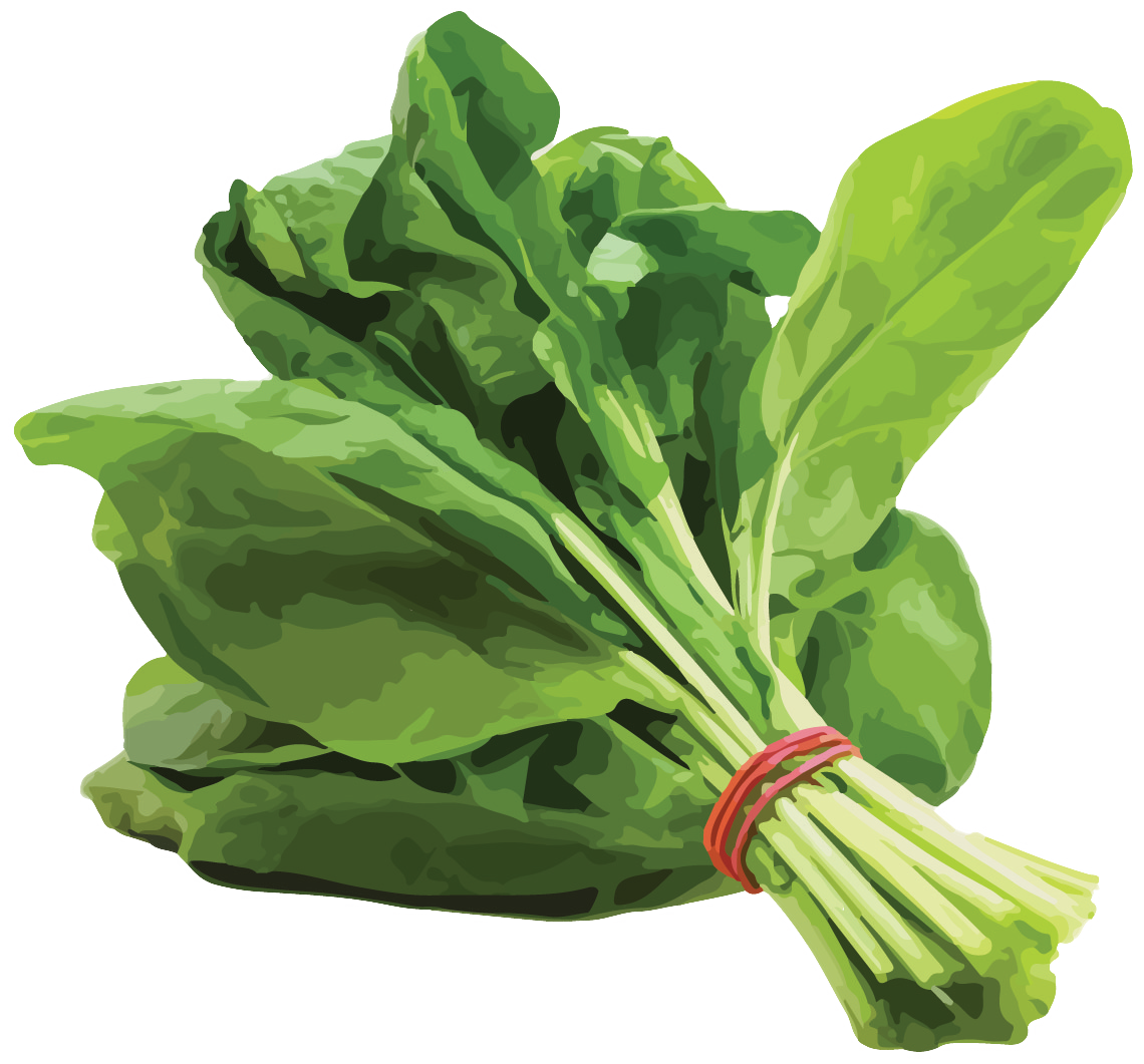 Download Spinach Palak Keerai Full Size PNG Image PNGkit