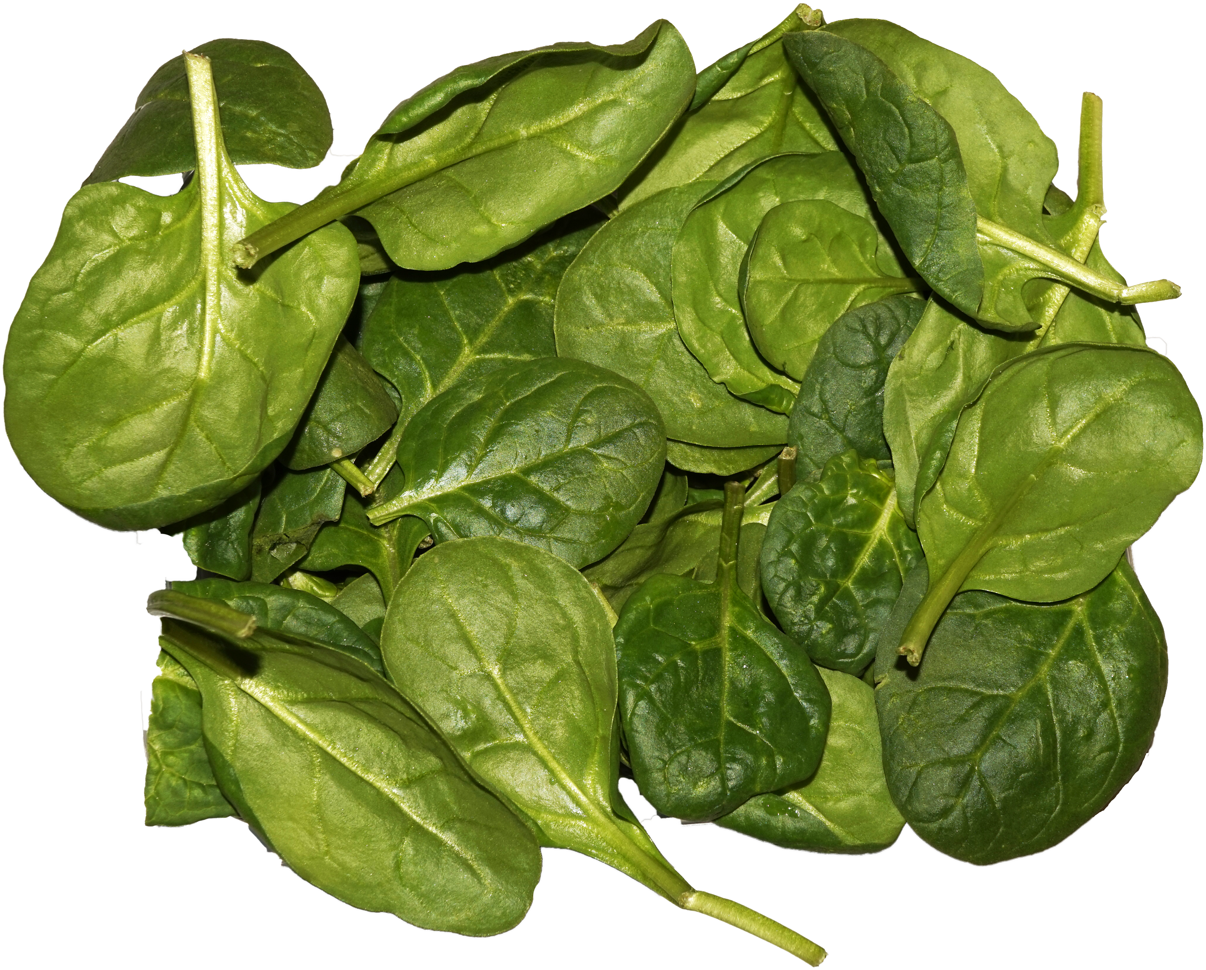 Spinach Leaves (4143x3307), Png Download