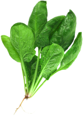 Spinach - Food Which We Get From Plants (500x500), Png Download