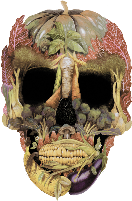 Illustration Tags - Skull (567x756), Png Download