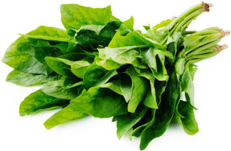 Leafy Fresh English Spinach - Spinach (585x390), Png Download