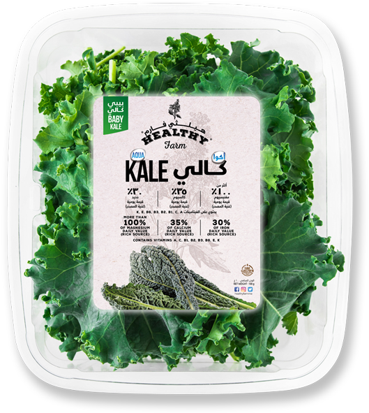 06 - Mixed Plant Seeds By Seed-balls.com - Mixed Kale Seed (600x600), Png Download