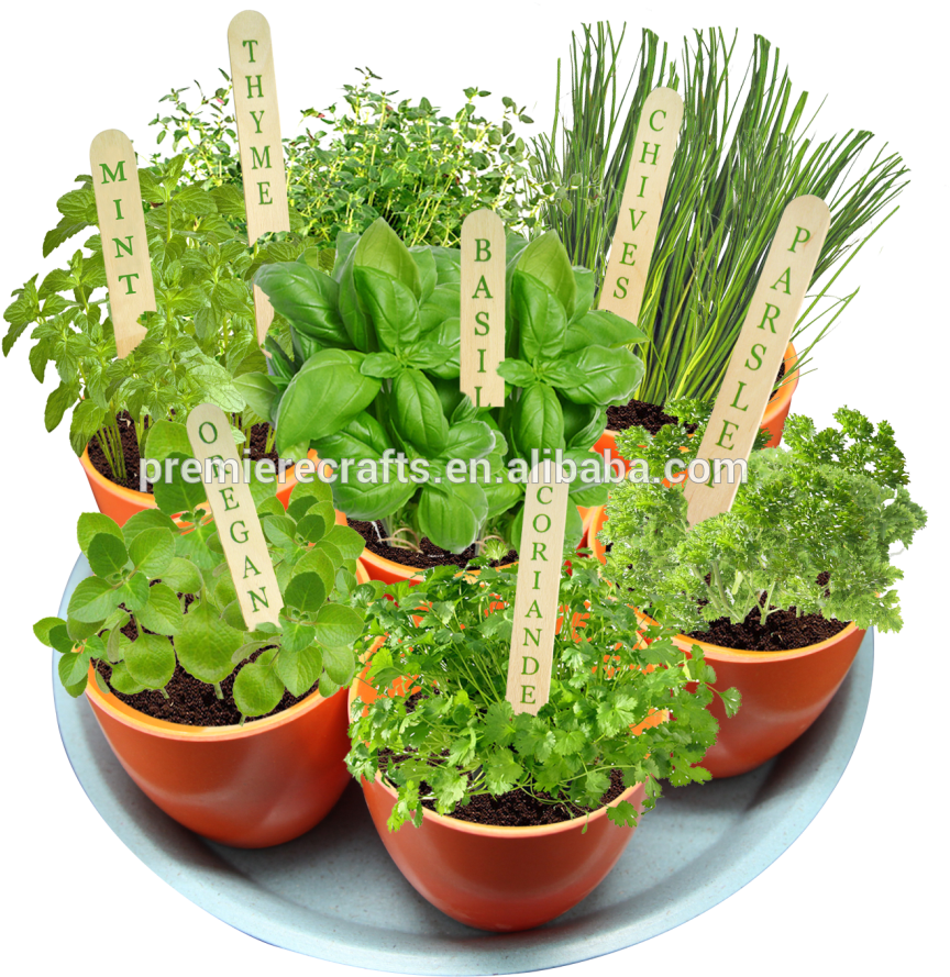 Clipart Resolution 1000*921 (1000x921), Png Download