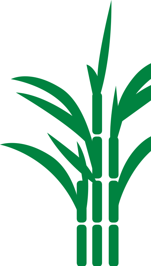 Sugar Cane Icon Png (487x857), Png Download