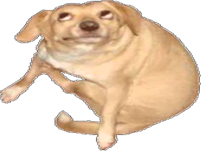 Dog - Oh You Dog (640x480), Png Download