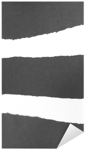 Scarf (400x400), Png Download