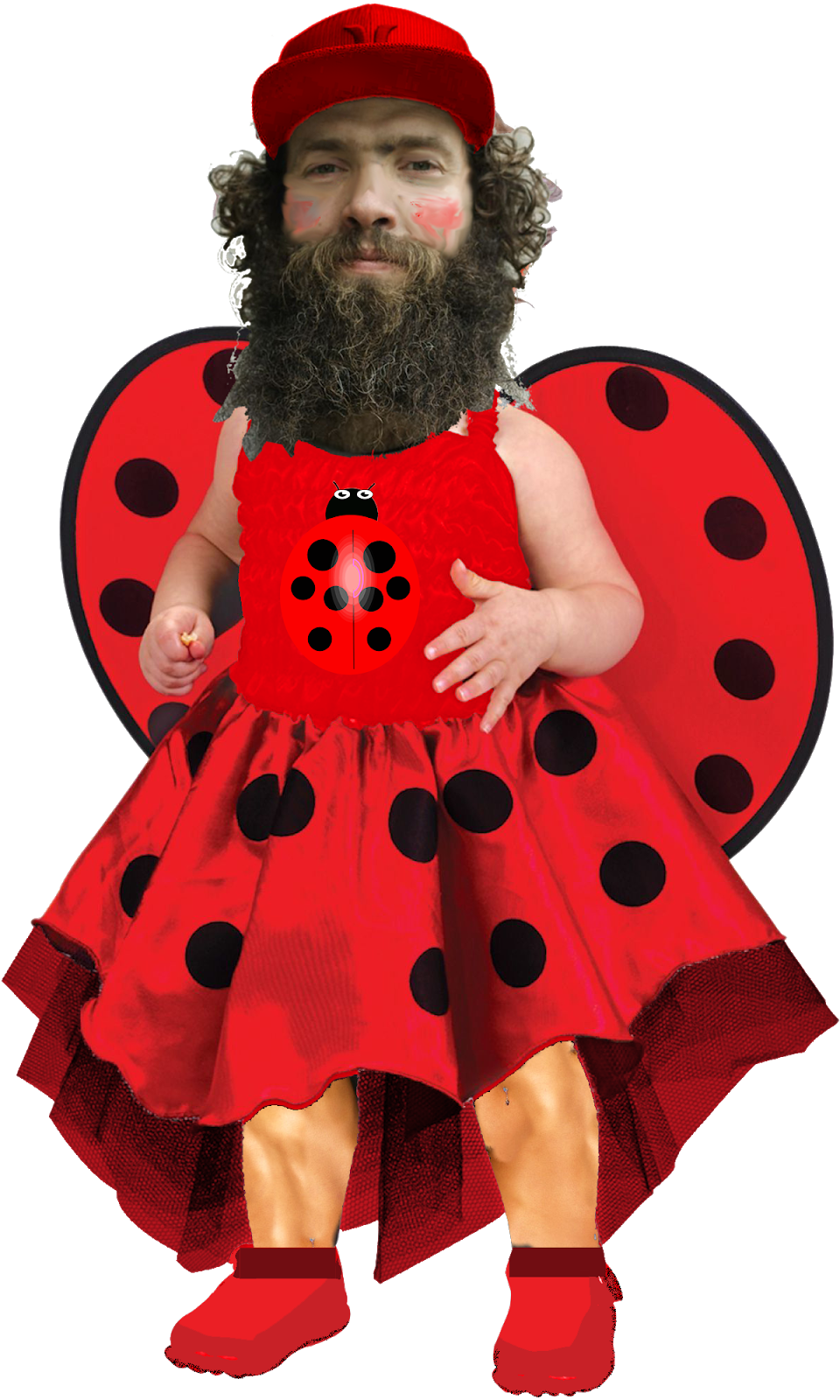 Ladybird Nazi - Nazism (960x1600), Png Download