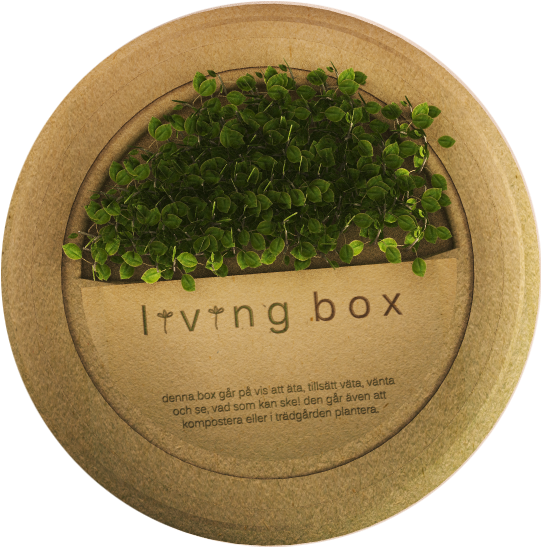 Living Box Is A Box Made From Biodegradable Material, - Sayama Tea (1280x720), Png Download