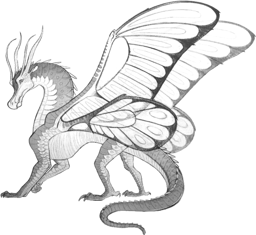 Hybrids And Special Dragons - Wings Of Fire Blue Silkwing (843x768), Png Download