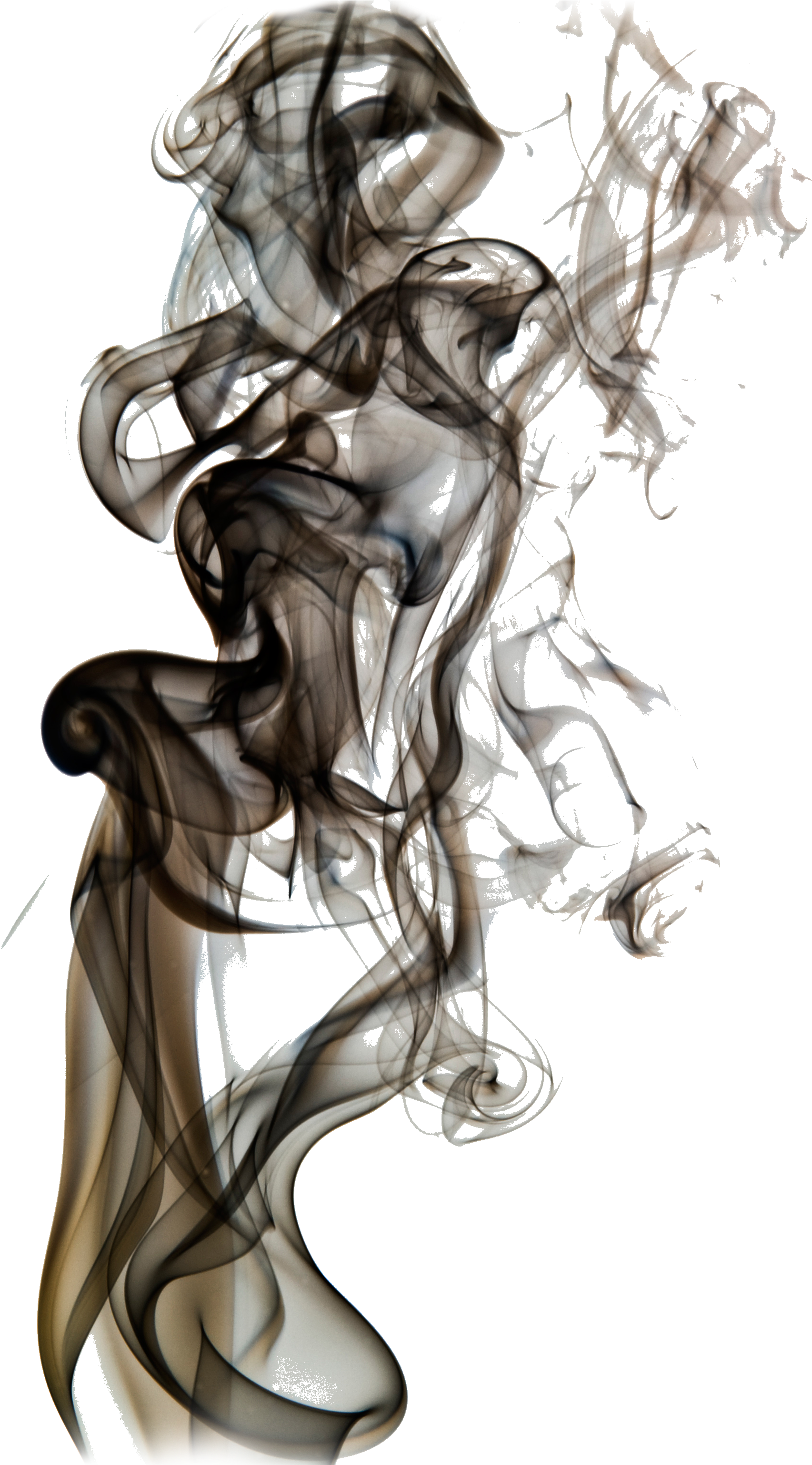 Vector Freeuse Doughnut Drawing Smoking - My Home Seitenzugrollo »smoke«, Lichtschutz, Fixmaß, (2528x3552), Png Download