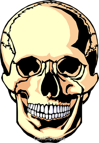 Human Skull Royalty Free Vector Clip Art Illustration - Skull Coloring Pages (333x480), Png Download