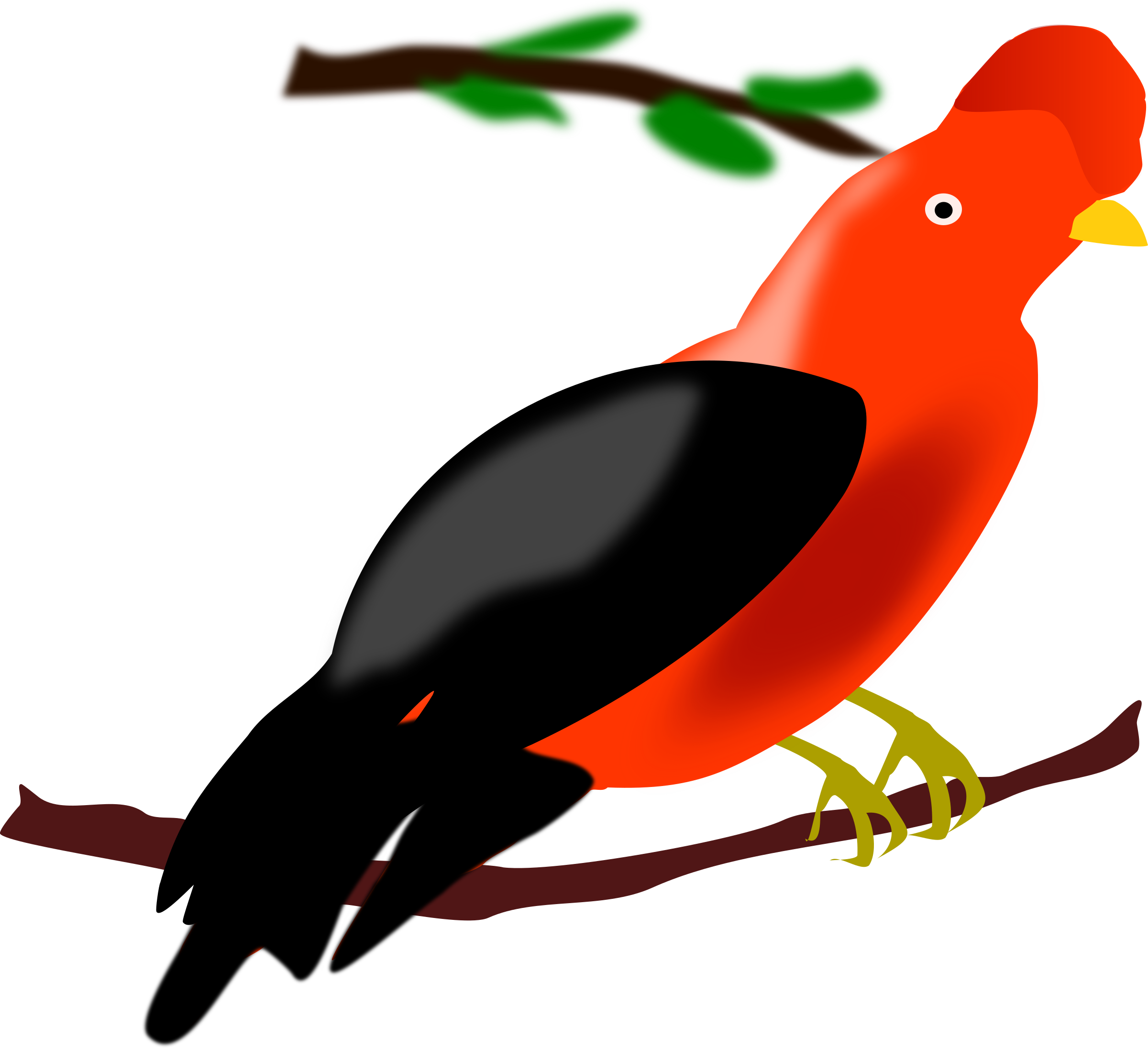 This Free Icons Png Design Of Andean Cock Of The Rock (2400x2192), Png Download