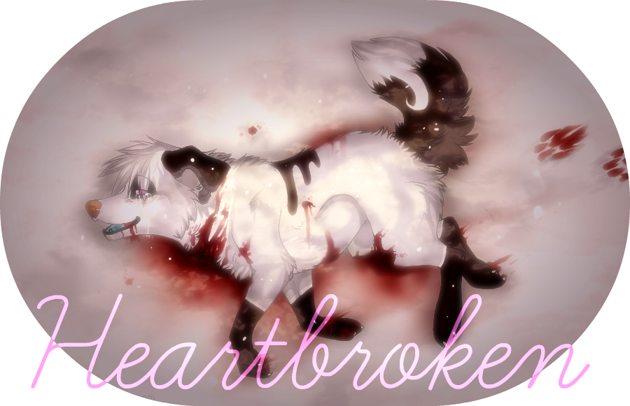 Heartbroken - Lost Wolf (900x581), Png Download