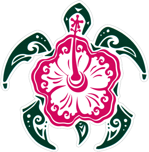 Hibiscus Sea Turtle - Does A Turtle Symbolize (489x500), Png Download