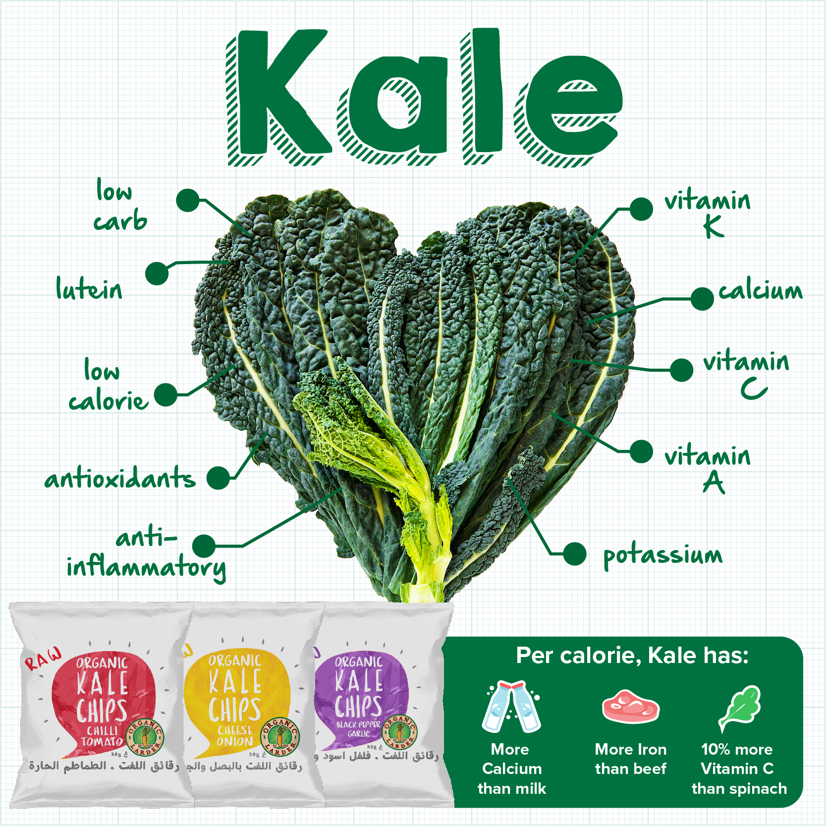 Kale Infographic - Eat Local Dekalb Sticker (1667x1667), Png Download