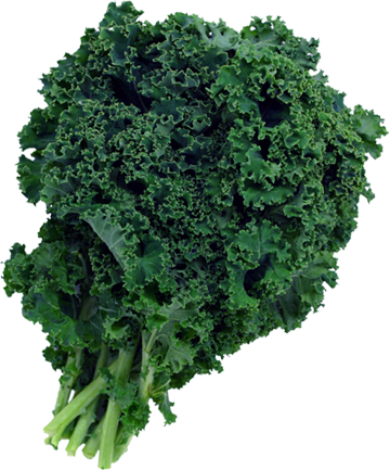 Green Kale Two Dozen - Does Kale Look Like (360x434), Png Download