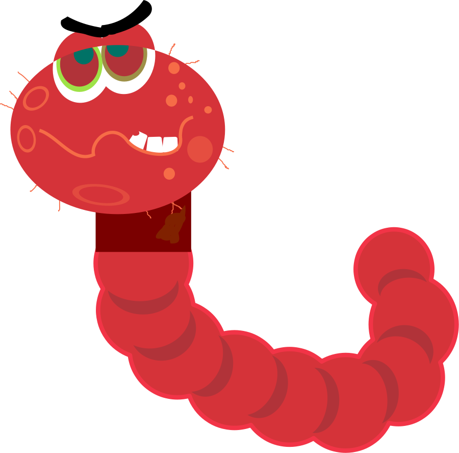 Trojan Clip Art - Computer Worm Clipart (800x788), Png Download