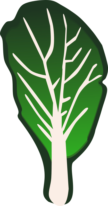 Leaf Vegetable Kale Cabbage Spinach - Vegetable Clip Art (393x750), Png Download