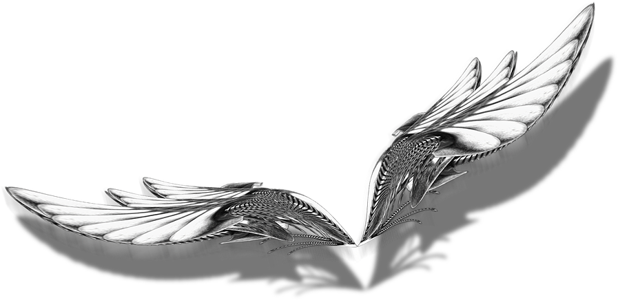 Alien Wings" 305cm Wide - Illustration (916x630), Png Download