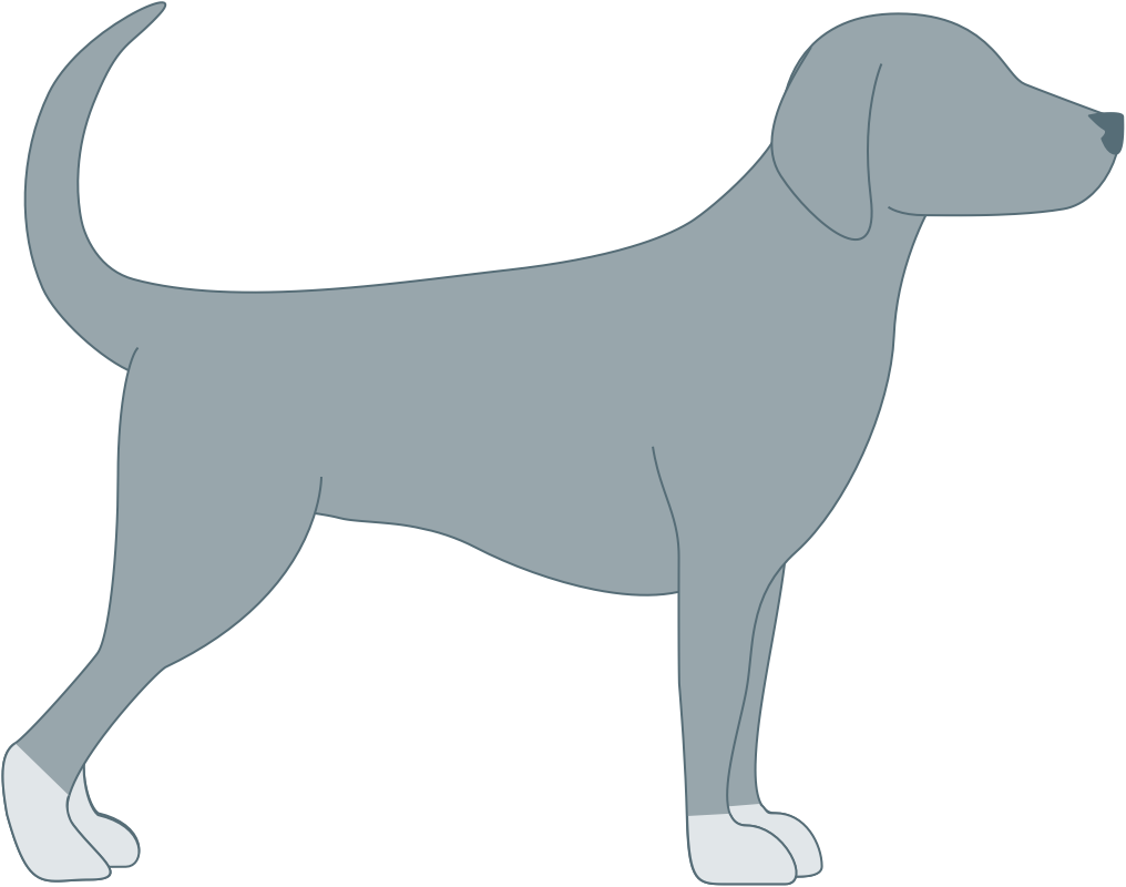 Dog Face Png - Dog (1016x800), Png Download
