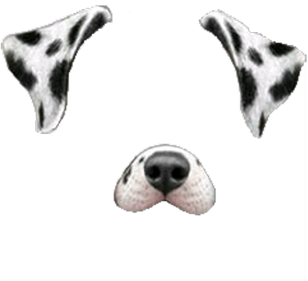 Snapchat Snapchatfilter Filter Dogface Dog Face White - Snapchat Dog Filter Png (1024x1024), Png Download