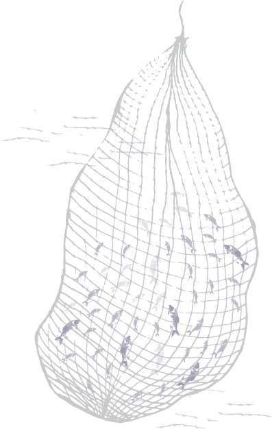 A Burmese Fisherman Living In Thailand - Sketch (397x626), Png Download