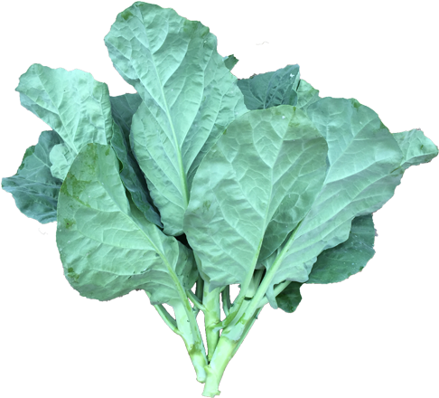 Commercial - Curly Kale (494x494), Png Download