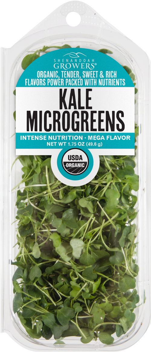 Kale Microgreens - Tap4 Mein Grünes / Wiesen Edel Weisse (526x1200), Png Download