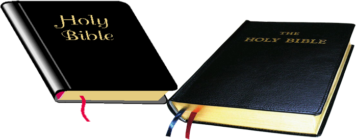 We Believe The Bible To Be The Inspired, Only Infallible - Belief (725x300), Png Download