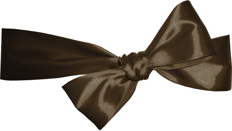 Ruban Marron Png (970x550), Png Download