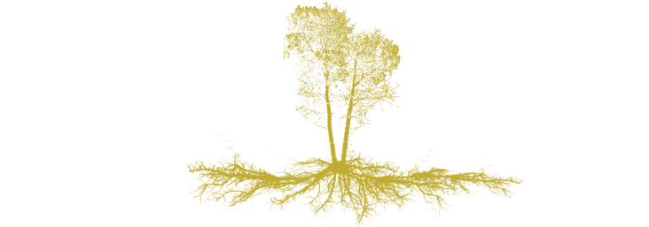 Rustic Vines - Gift (780x291), Png Download