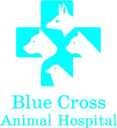 Hospital (423x464), Png Download