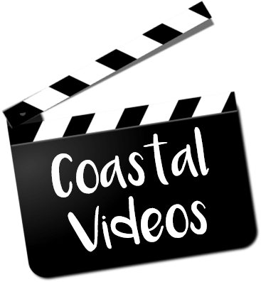 Ain't Doin It Shirt (387x409), Png Download