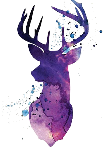 Deer Clipart (480x480), Png Download